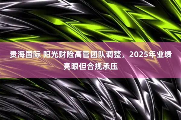 贵海国际 阳光财险高管团队调整，2025年业绩亮眼但合规承压