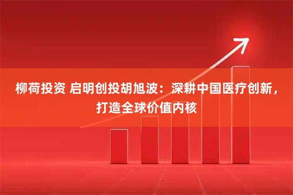 柳荷投资 启明创投胡旭波：深耕中国医疗创新，打造全球价值内核