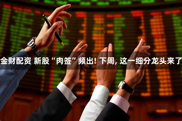 金财配资 新股“肉签”频出! 下周, 这一细分龙头来了