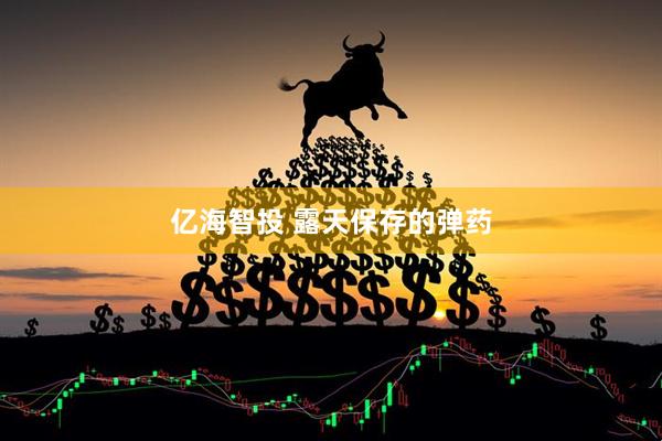 亿海智投 露天保存的弹药